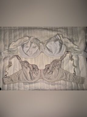 Wonderbra Ivory Lace and Triumph Embroidered Underwire Bras - Set of 2-36DD